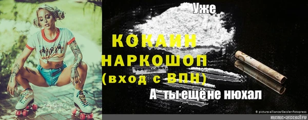 твердый Абаза