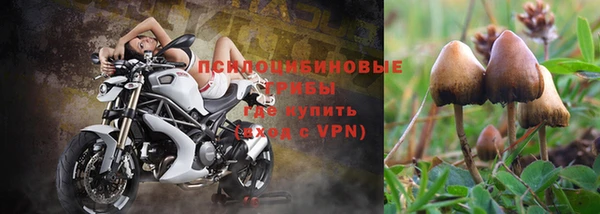 ALPHA-PVP Абинск