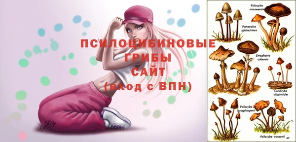 spice Абдулино