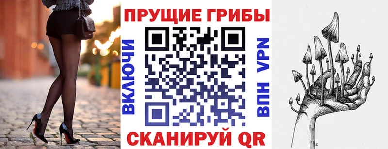blacksprut tor  Алатырь  Галлюциногенные грибы GOLDEN TEACHER  дарнет шоп 